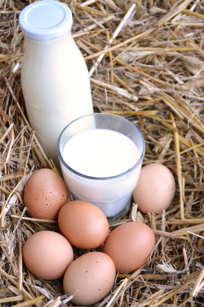 Ένα μπουκάλι και ένα ποτήρι γεμάτο γάλα μαζί με φρέσκα αυγά στο άχυρο-έννοια για το νωπό γάλα από το αγρόκτημα με χώρο για το κείμενο ή άλλα στοιχεία  - Φωτογραφία, εικόνα