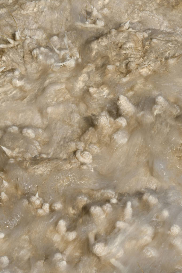 thermische bronnen en kalksteenformaties bij Mammoth Hot Springs in Wyoming in Amerika - Foto, afbeelding