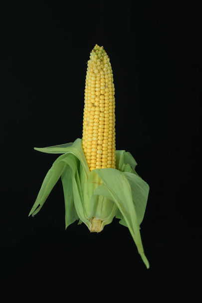 Beautiful fresh corn of green leaf on a black background. - Zdjęcie, obraz