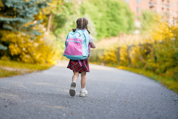 Girl with backpack is going to school - Foto, Imagen