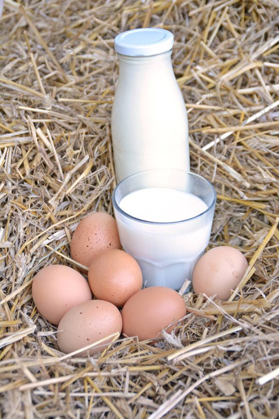 Ένα μπουκάλι και ένα ποτήρι γεμάτο γάλα μαζί με φρέσκα αυγά στο άχυρο-έννοια για το νωπό γάλα από το αγρόκτημα με χώρο για το κείμενο ή άλλα στοιχεία  - Φωτογραφία, εικόνα