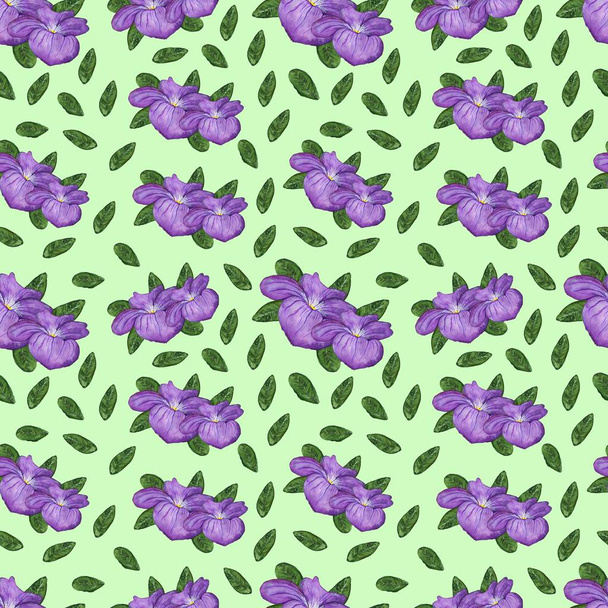 seamless pattern with blooming purple flowers with green leaves on pastel green background - Фото, зображення