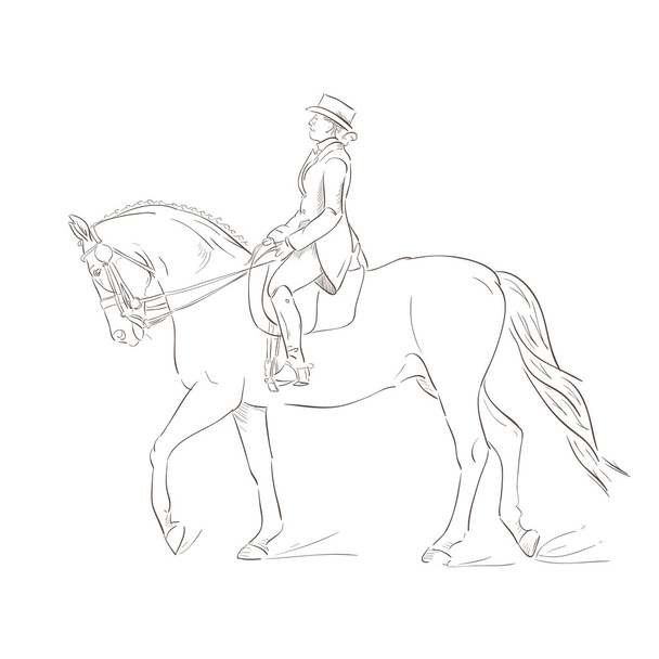 Конь-выездка
 - Вектор,изображение