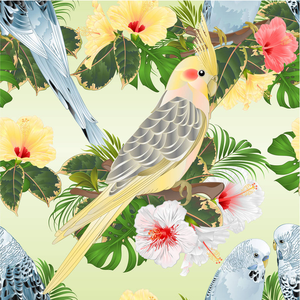 Seamless texture birds corella and Budgerigars blue pets parakeets  on a branch bouquet with tropical flowers hibiscus, palm,philodendron vintage vector illustration editable hand draw - Vecteur, image