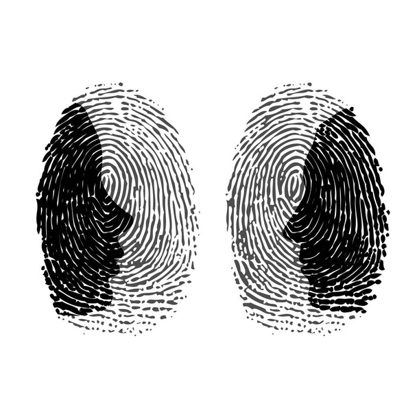 男と女の指紋 - ベクター画像