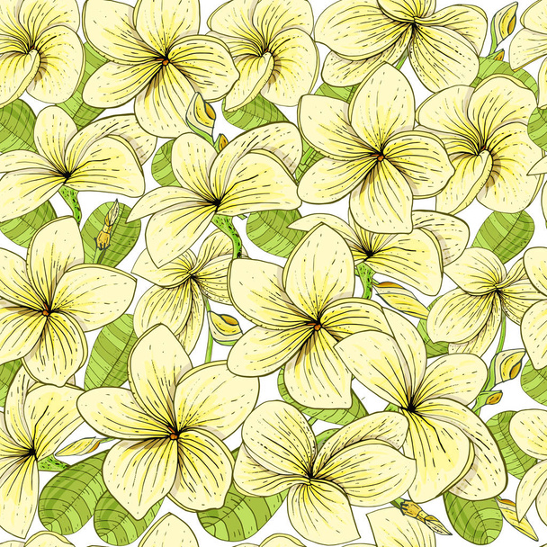 Seamless pattern with blooming yellow Plumeria flowers on white background  - Wektor, obraz