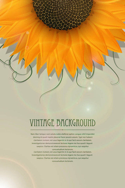 Sunflower card - Vektor, kép
