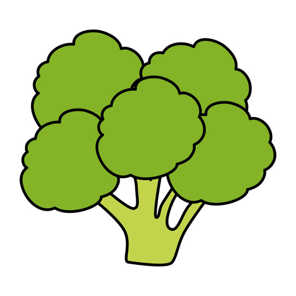 fresh broccoli vegetable icon - Vector, Image