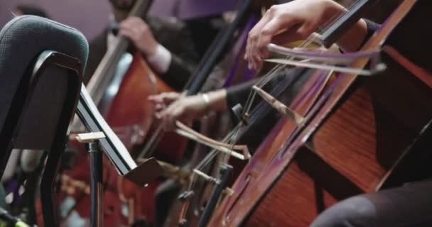 Музикант грає віолончель під час репетиції класичної музики перед концертом - Кадри, відео