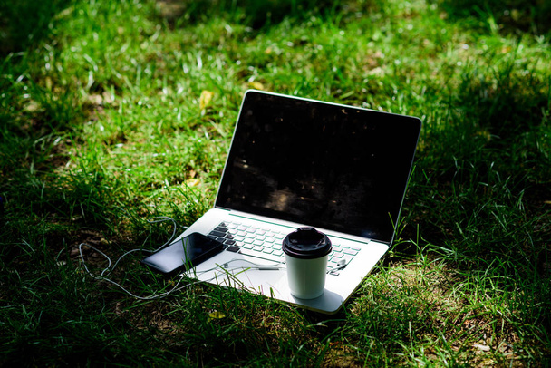 Summer park. Work and relax in natural environment. Green office. Its coffee time. Coffee take away. Coffee break outdoors. Laptop modern smartphone with earphones and coffee cup on green grass - Fotoğraf, Görsel