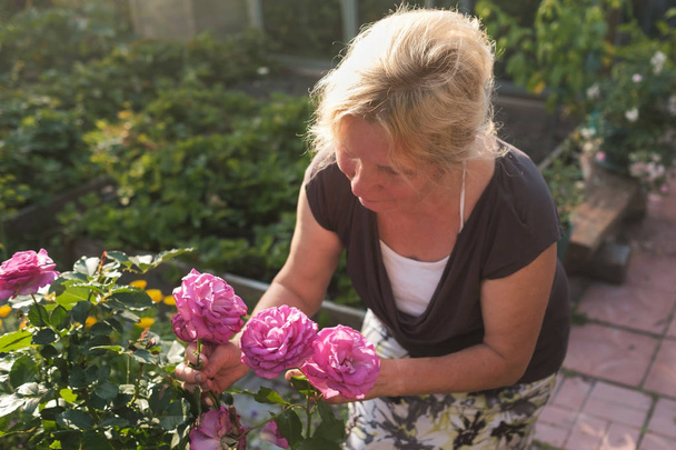 Excited mature caucasian female gardener caring blossoming bush roses in yard - Fotografie, Obrázek