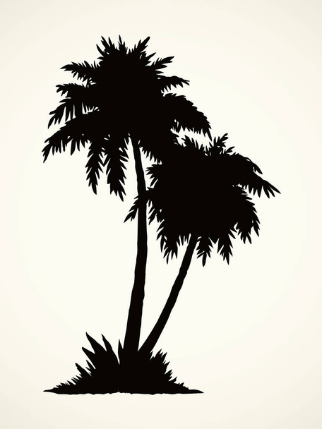 Plajda palmiye. Vektör çizim - Vektör, Görsel