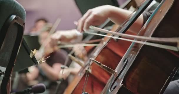 Músico tocando violoncelo durante um ensaio de música clássica antes de um concerto
 - Filmagem, Vídeo