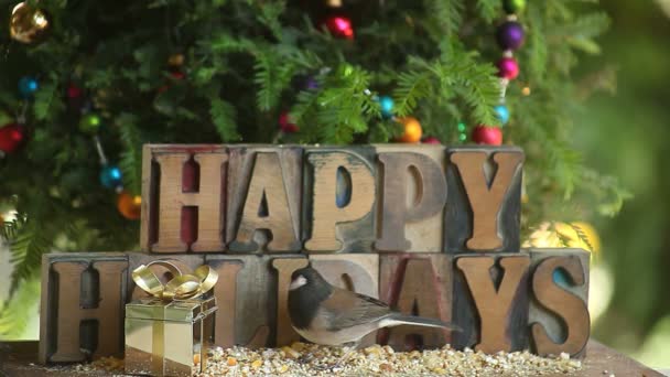 Ένας Ρεν και ένα κοτοπουζάκια εκφοβίζονται από ένα Junco αλλά να πάρει το φαγητό έτσι κι αλλιώς σε ένα τροφοδότη με ένα χριστουγεννιάτικο δέντρο και χαρούμενες γιορτές λέξεις - Πλάνα, βίντεο
