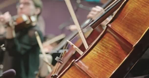 Hudebník, který hraje violoncello během zkoušky klasické hudby před koncertem - Záběry, video