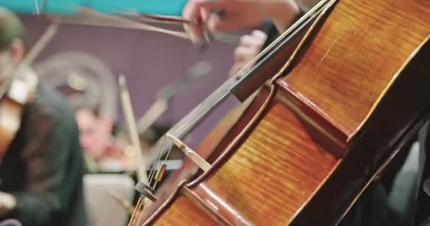 Hudebník, který hraje violoncello během zkoušky klasické hudby před koncertem - Záběry, video