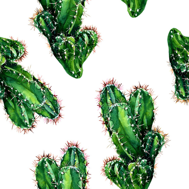 Bezszwowy wzór kaktusów pomalowanych akwarelą. - Zdjęcie, obraz