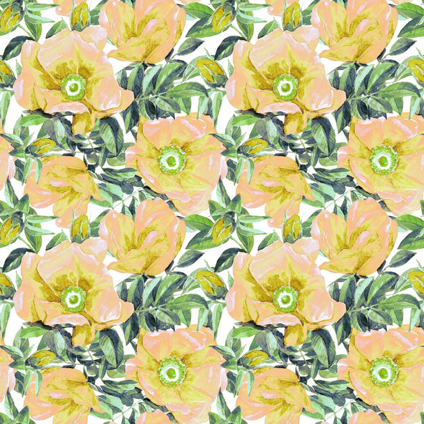 Floral seamless pattern with wild rose painted in watercolor. - Foto, immagini