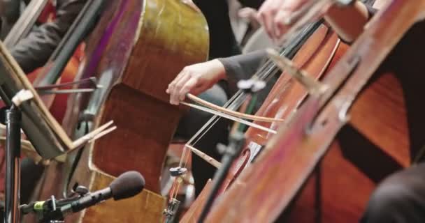 Müzisyen bir konserden önce klasik müzik provası sırasında cello oynuyor - Video, Çekim