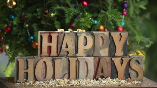 Bir chickadee kelimeleri Happy Holidays ve arka planda bir Noel ağacı ile beslenir - Video, Çekim