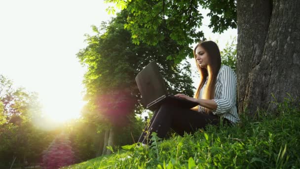 Young pretty woman sitting on the grass near tree and use notebook, girl open laptop - Footage, Video