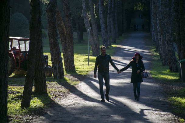 Young woman and man walking in Arboretum park holding hands. Photo taken on 31th October 2017, stanbul, Turkey - Фото, зображення