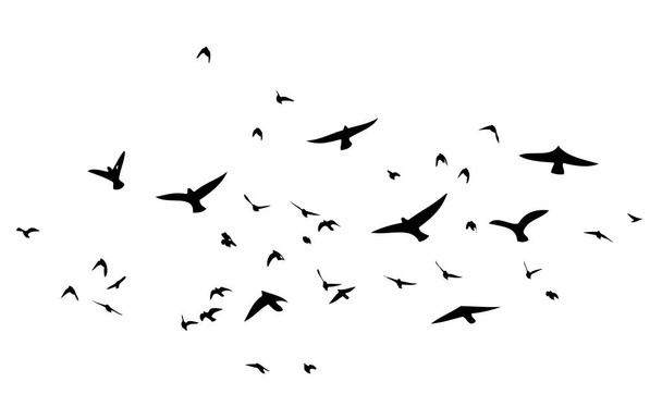 Egy csapat repülő madár. Vektorillusztráció - Vektor, kép