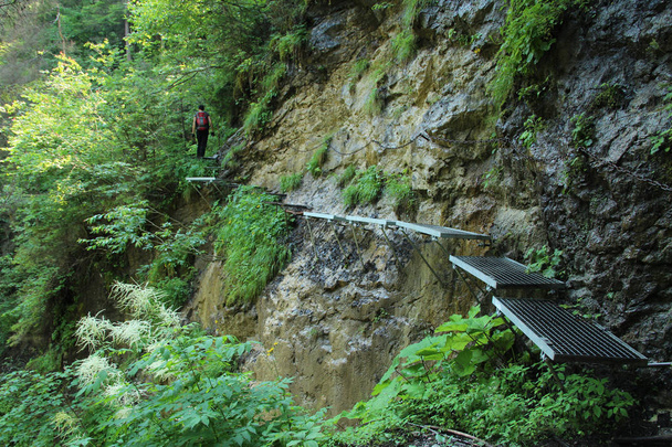 Турист в красивых ущельях Slovak Paradise National
 - Фото, изображение