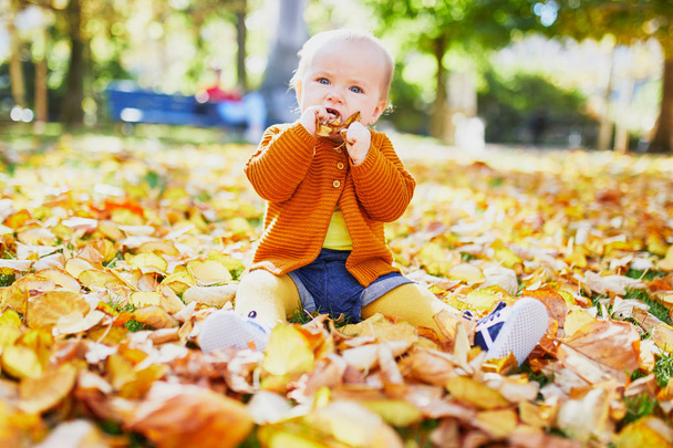 Adorable little girl playing with yellow autumn leaves - Foto, Bild