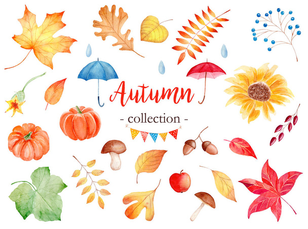 Dekoratif sonbahar sezonu nitelikleri suluboya raster çizimler set - Fotoğraf, Görsel