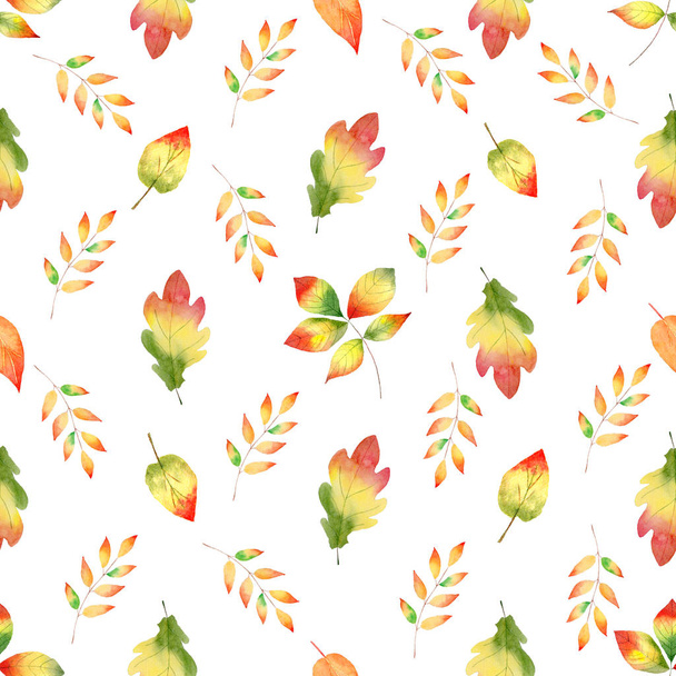 Colorful autumn forest foliage seamless watercolor raster pattern - Foto, Bild