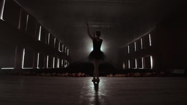 Η σιλουέτα ενός νεαρού Χορευτού μπαλέτου που στέκεται πίσω στην κάμερα. Ελαφριά σιλουέτα της κομψής νεαρής μπαλαρίνα που στέκεται πίσω στην κάμερα σε δεύτερη θέση βραχίονες ποζάρει. - Πλάνα, βίντεο