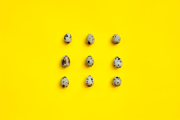 Ensemble d "œufs de caille en rangée sur fond jaune
. - Photo, image