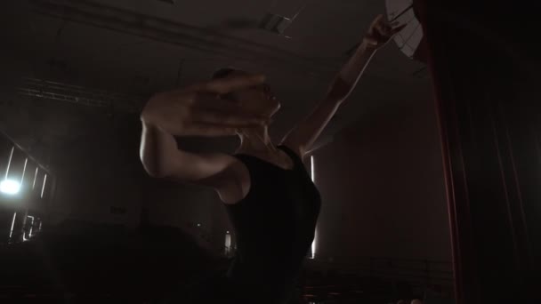 Η σιλουέτα ενός νεαρού Χορευτού μπαλέτου που στέκεται πίσω στην κάμερα. Ελαφριά σιλουέτα της κομψής νεαρής μπαλαρίνα που στέκεται πίσω στην κάμερα σε δεύτερη θέση βραχίονες ποζάρει. - Πλάνα, βίντεο