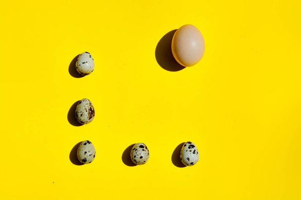 黄色の背景に一列に大きな鶏の卵と小さなウズラの卵のセット. - 写真・画像
