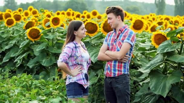 zwei Bauern schütteln den Kopf, Mann und Frau im Agrarbereich, die sich auf einem Sonnenblumenfeld unterhalten - Filmmaterial, Video