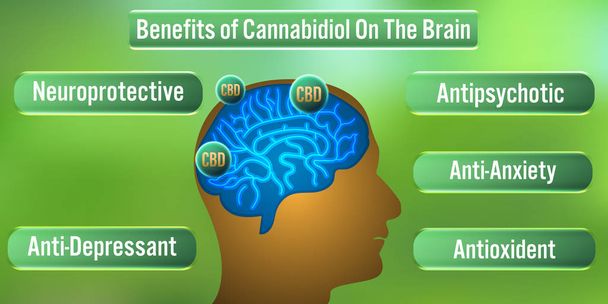 The Brain Benefits of CBD (Cannabidiol) Oil.Vector illustration - Vector, Image