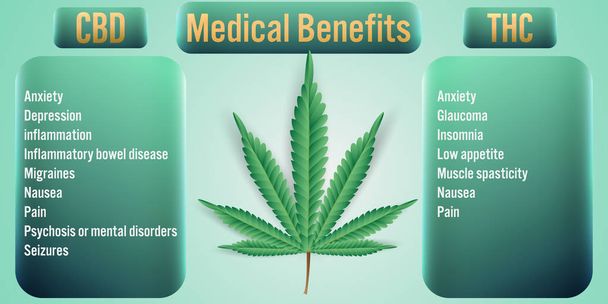 cbd, thc medizinischer Nutzen von Cannabis - Vektor, Bild
