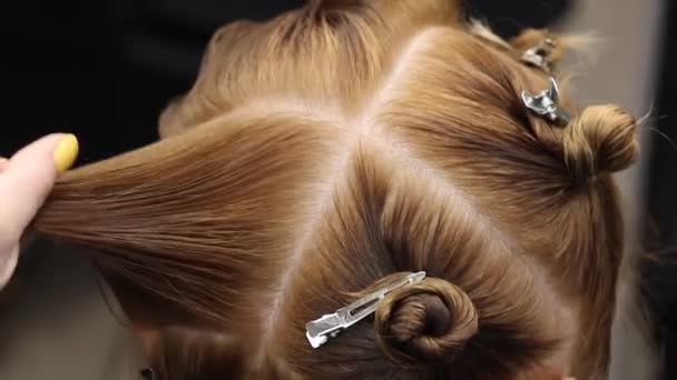 peines estilista y rizos cabello en la cabeza femenina y mechones con clip de pelo, prácticas y formación de nuevas habilidades en el taller de peluquería, vista de cerca desde atrás
  - Imágenes, Vídeo