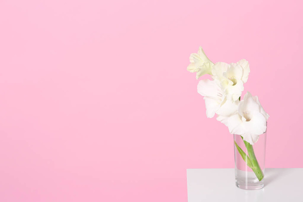 Vase with beautiful gladiolus flowers on wooden table against pink background. Space for text - Foto, Imagem