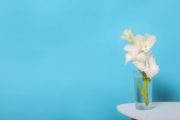 Vase with beautiful gladiolus flowers on wooden table against blue background. Space for text - Foto, imagen