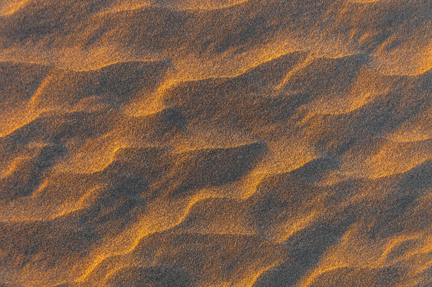 Gouden licht op het golvende zand rimpelingen  - Foto, afbeelding