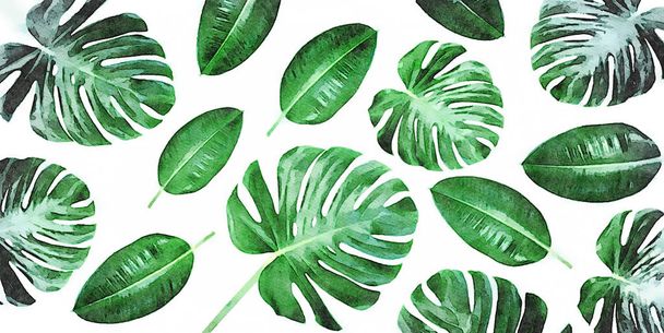 Trendy tropical leaves composition - Valokuva, kuva