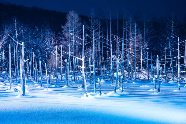 Bellissimo paesaggio esterno con laghetto blu fiume di notte con l
 - Foto, immagini