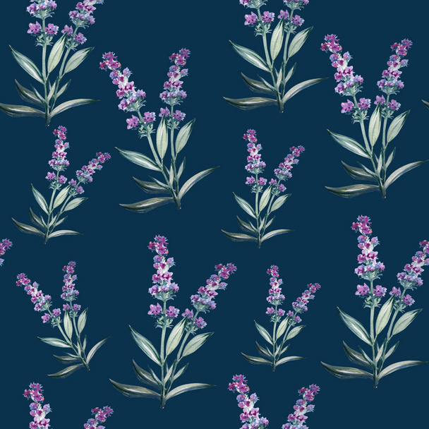 Lavender flower water color art illustration - Φωτογραφία, εικόνα