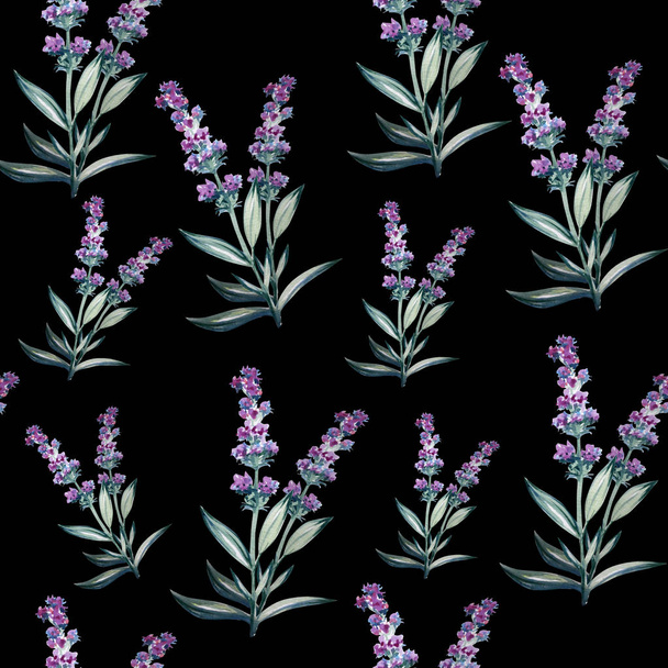  Lavanta çiçek su renk sanat illüstrasyon - Fotoğraf, Görsel