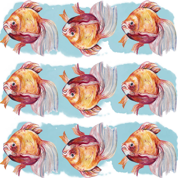 Hermosa ilustración de arte de peces acuarela
 - Foto, Imagen