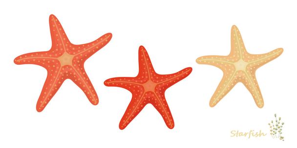 Starfish a rajzfilm stílusban: Print nyári design elem minta fehér háttér - Vektor, kép