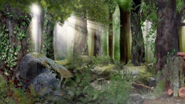 Bosque mágico de cuento de hadas con sol, cámara rastreando una mariposa, renderizado 3D fotorrealista
 - Metraje, vídeo