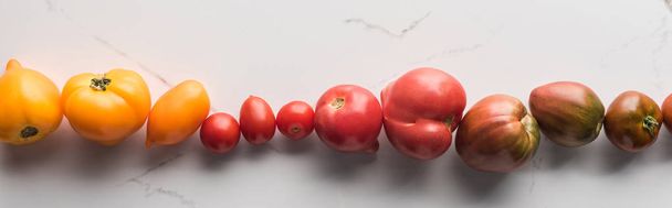 panoramic shot of colorful tomatoes on marble surface  - Fotó, kép
